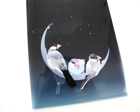 【A5】クリアファイル「星屑文鳥」 4枚目の画像