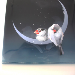 【A5】クリアファイル「星屑文鳥」 3枚目の画像