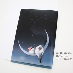 【A5】クリアファイル「星屑文鳥」 5枚目の画像