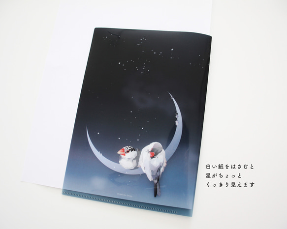【A5】クリアファイル「星屑文鳥」 5枚目の画像