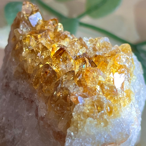 ビジネス運✨ シトリンクォーツ 黄水晶 原石 ラフストーン クラスター