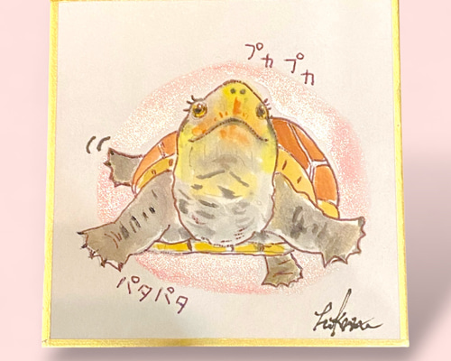 ミニ色紙原画【ニオイガメ女子】カメ ミシシッピニオイガメ 爬虫類 亀