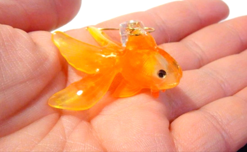 可愛い私の金魚