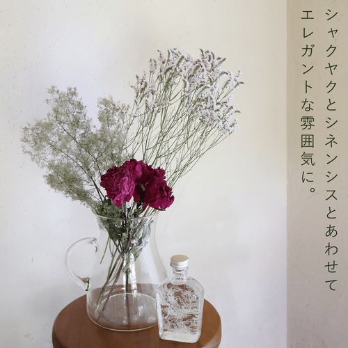 ドライフラワー 】スモークツリー グリーン 系 中丈 ＊ ナチュラル 枝