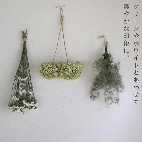 ドライフラワー 】スモークツリー グリーン 系 中丈 ＊ ナチュラル 枝