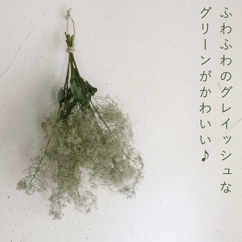 スモークツリー　ドライフラワー　枝 約140センチ　2本 楽天市場】スモークツリー ドライフラワーの通販