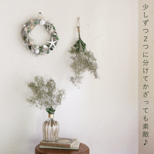 ドライフラワー 】スモークツリー グリーン 系 中丈 ＊ ナチュラル 枝