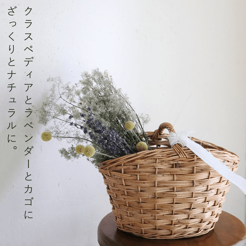 ドライフラワー 】スモークツリー グリーン 系 中丈 ＊ ナチュラル 枝