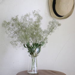 ドライフラワー 】スモークツリー グリーン 系 中丈 ＊ ナチュラル 枝