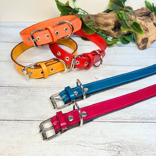 大きいサイズの本革犬用首輪　(25㎜幅)　中型/大型/超大型　【ブッテーロ/ルガトショルダー】