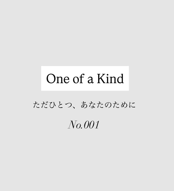【14kgf】One of a kind   キャッチレスピアス　#96 1枚目の画像