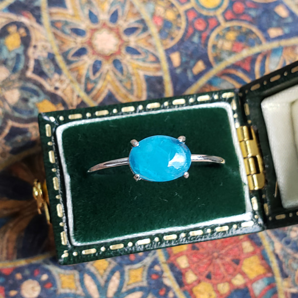 サイズ指定 お得 ネオンブルーアパタイト シルバーリング 17号