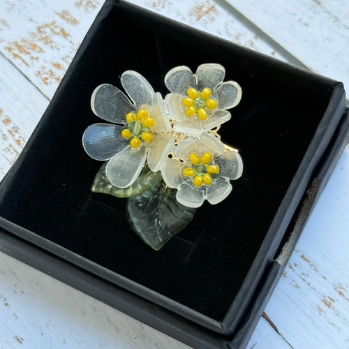 空にさく花 透明に咲く サンカヨウのブローチ｜6月21日の誕生花 ギフト