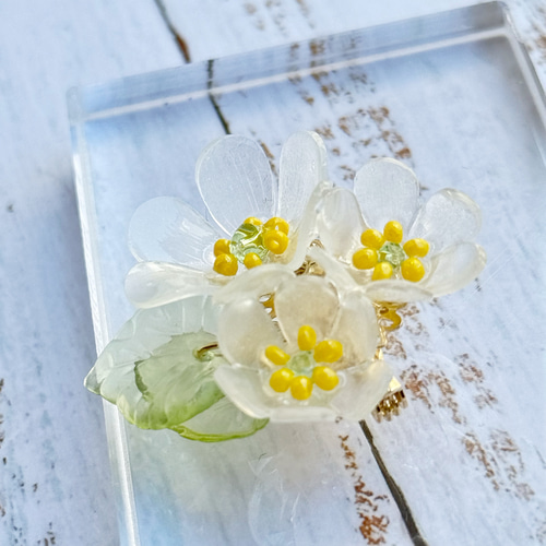 透明に咲く サンカヨウのブローチ｜6月21日の誕生花 ギフト