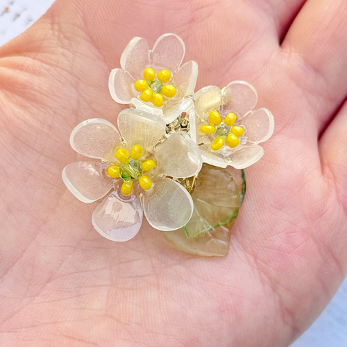 透明に咲く サンカヨウのブローチ｜6月21日の誕生花 ギフト