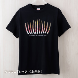 ［ NEW! ］たけのこＴシャツ 4枚目の画像