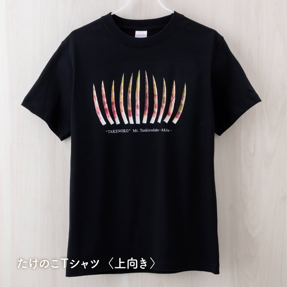 ［ NEW! ］たけのこＴシャツ 4枚目の画像