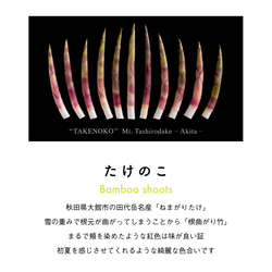 ［ NEW! ］たけのこＴシャツ 6枚目の画像