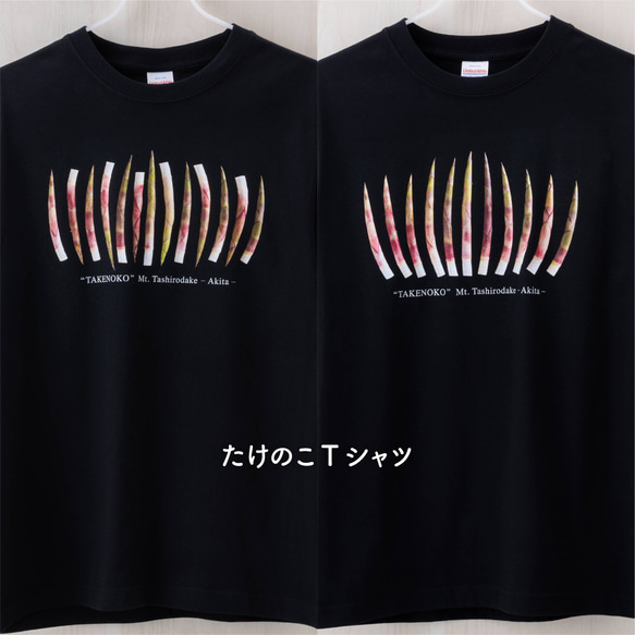 ［ NEW! ］たけのこＴシャツ 1枚目の画像