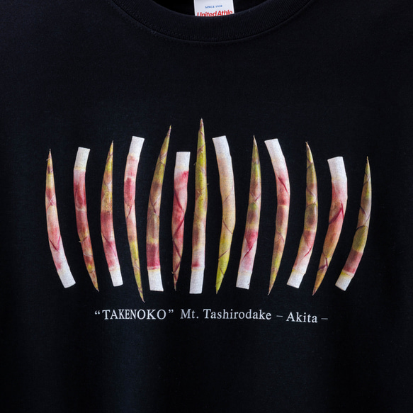 ［ NEW! ］たけのこＴシャツ 3枚目の画像