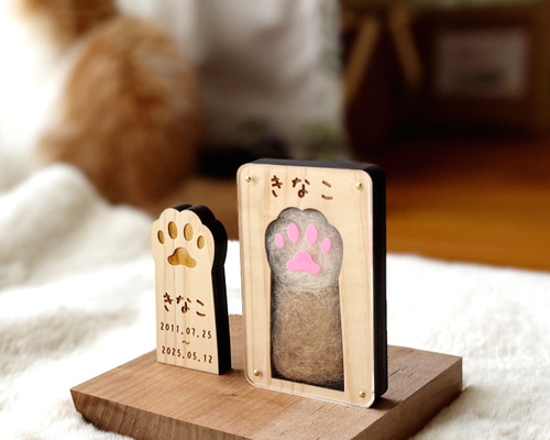 213088dad64a840a3ae713aa7ce56a