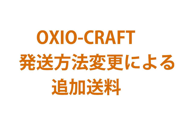 【Oさま専用画面】追加送料 1枚目の画像