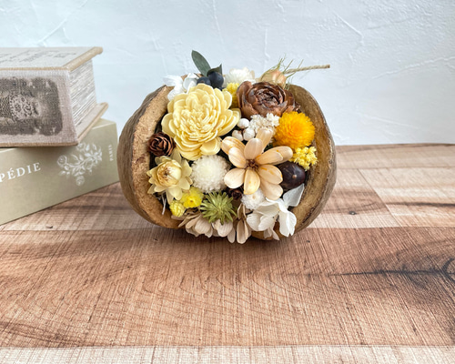 幸せのブッダナッツ＊黄色 ドライフラワー hanayui_happy 通販