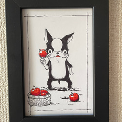 ボストンテリア しゃがむ手描きイラスト原画 希少！！】 ボストンテリア しゃがむ手描きイラスト原画