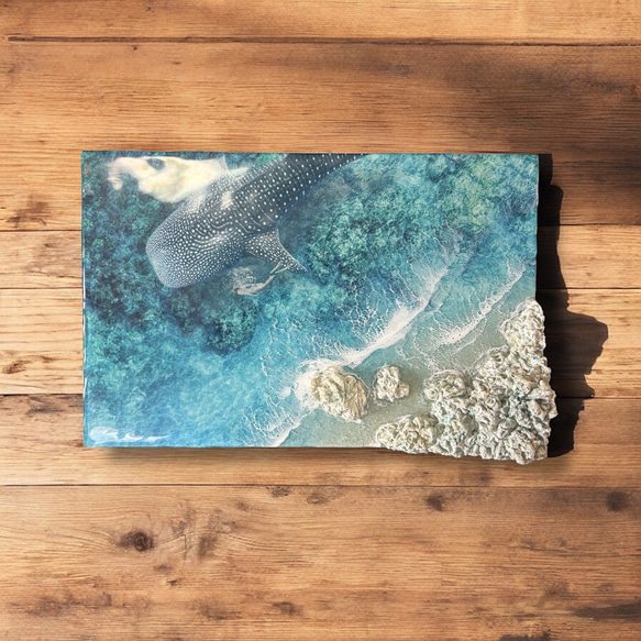 大人気定番商品 ジンベエザメ> 超立体 沖縄の海 レジンアートボード 美ら海 イラスト