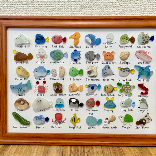 シーグラスアート☆No156 図鑑 ギフト プレゼント 水族館