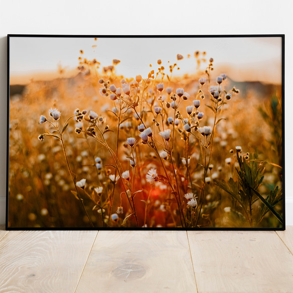 アートポスター ナチュラルフラワー シンプルモダン 野原の花と夕焼け 北欧風 癒しのインテリア 6690 8枚目の画像