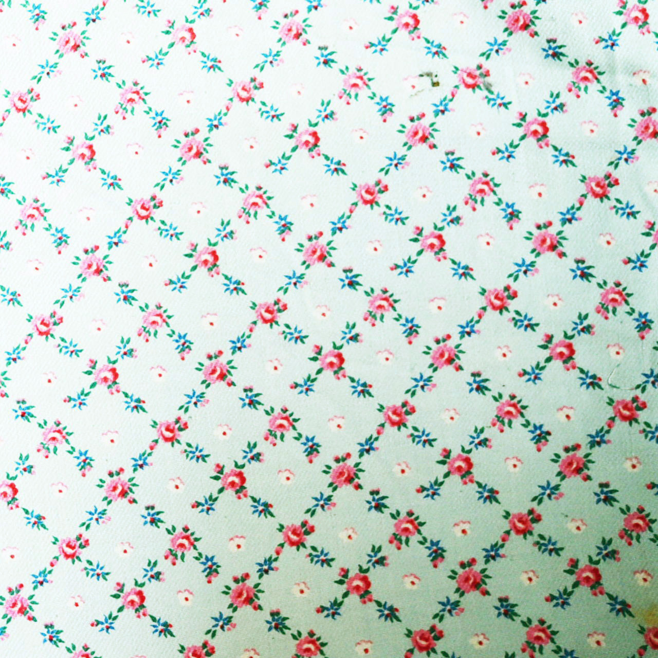 ヴィンテージ フレンチファブリック 裏ネル[sa666] 生地 doudou