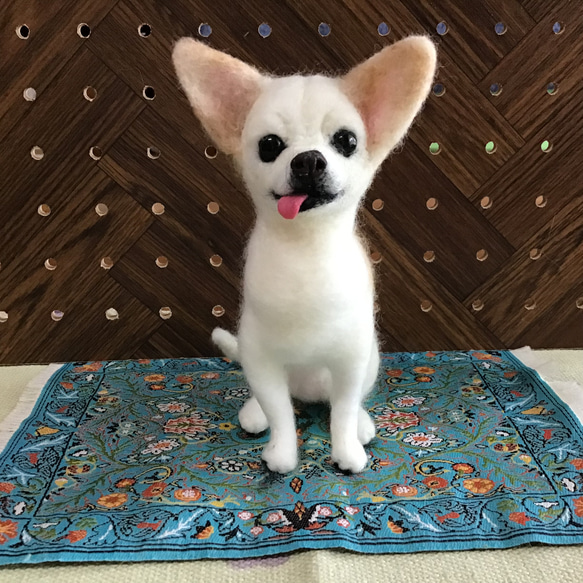 羊毛フェルト コーギー犬 お座りポーズ パグ（独特なお座りポーズ❓） 羊毛フェルト コーギー大好きママ