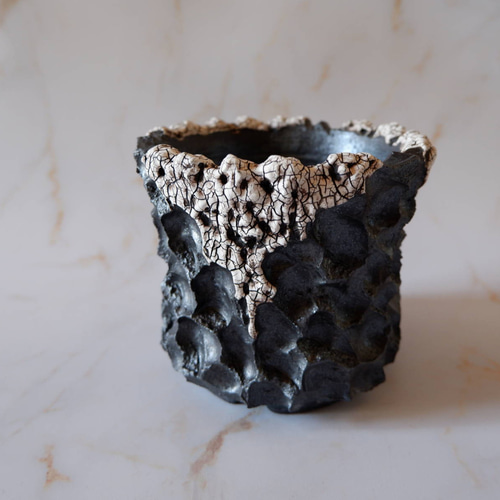 4号貫入白化粧黒鉢118 塊根植物 多肉植物 アガベ 盆栽 植木鉢