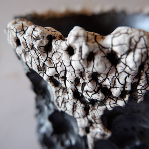 4号貫入白化粧黒鉢118 塊根植物 多肉植物 アガベ 盆栽 植木鉢 作家鉢