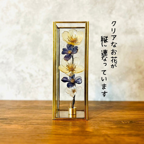 ガラスのようなクリアなお花とガラスケースセット/新築祝い/誕生日