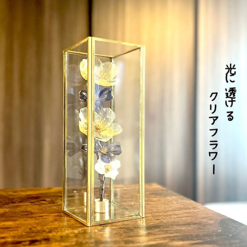 ガラスのようなクリアなお花とガラスケースセット/新築祝い/誕生日