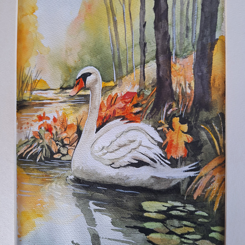 水彩画 秋色に染まる白鳥 絵画 makochin 通販 19476962｜Creema
