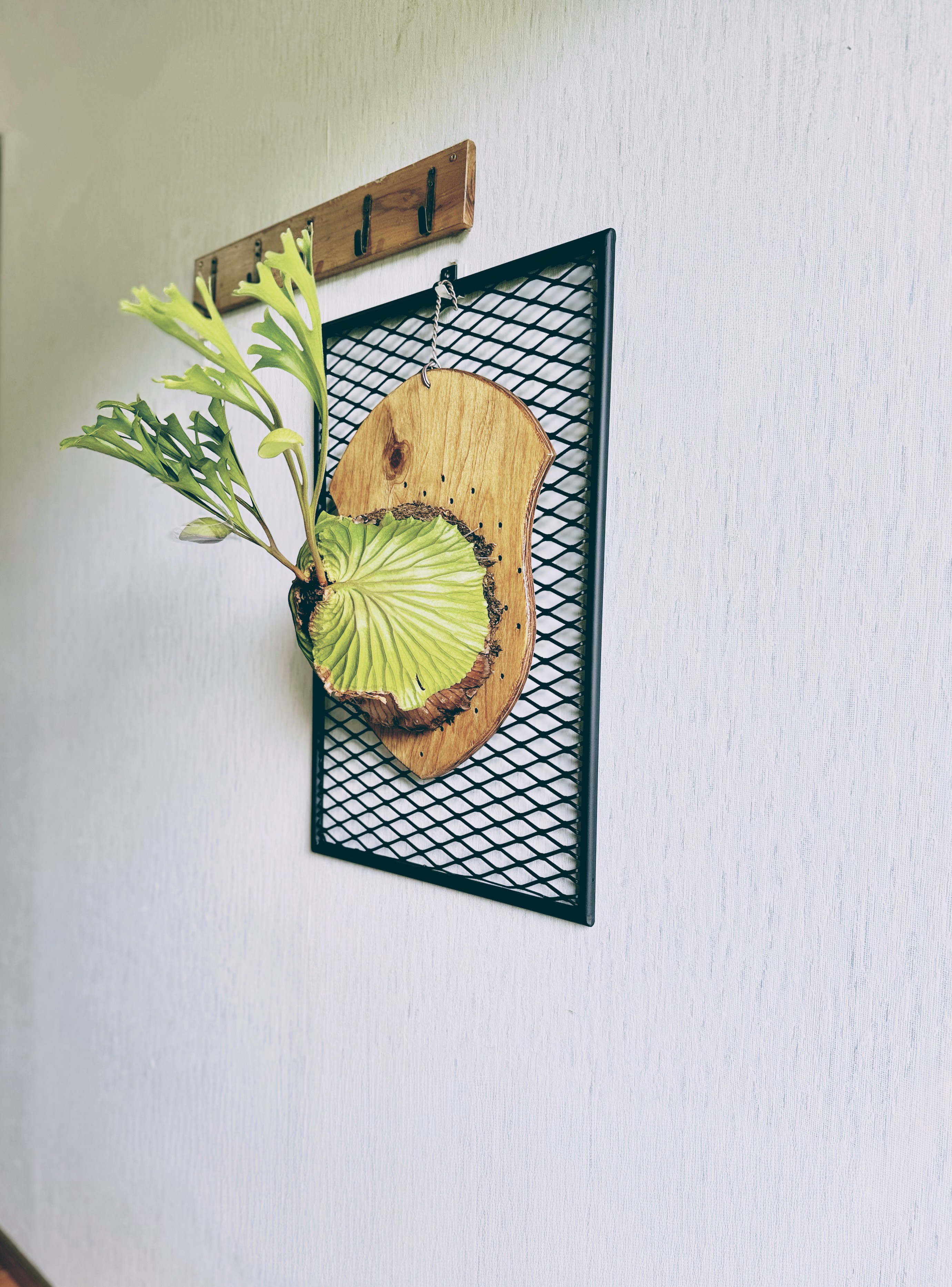 【大サイズ】ウォールラック　アイアン製　壁掛け