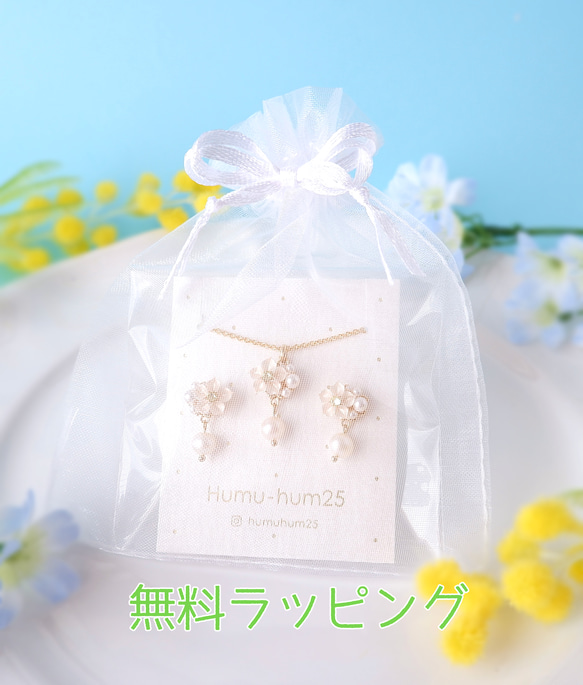 creema限定！ひんやりクリアマスカットのイヤリング、ピアス&ネックレスセット(受注制作)《夏　葡萄　グリーン》 16枚目の画像