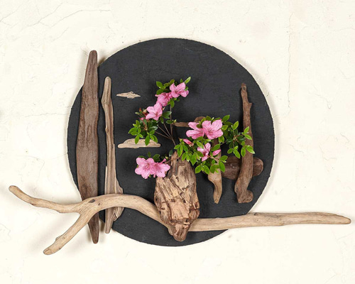 2e3edccb2e0261a7354eeb65a10a86