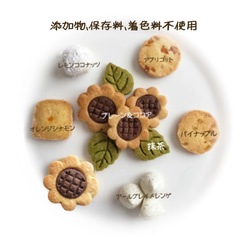  第2張的照片