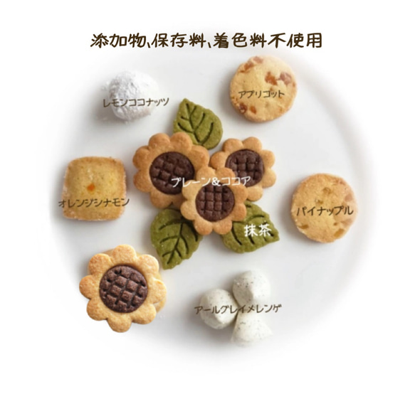  第2張的照片