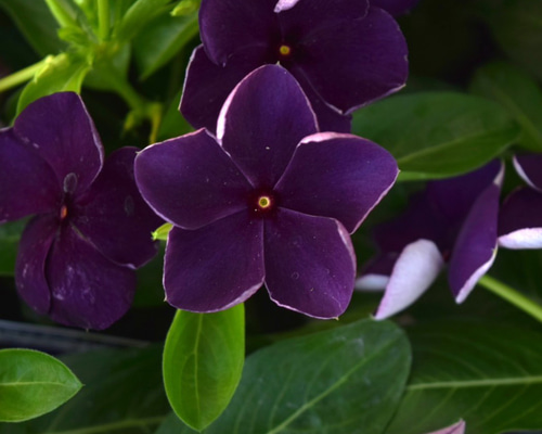 742b7902f6697a2695e13262aa869c