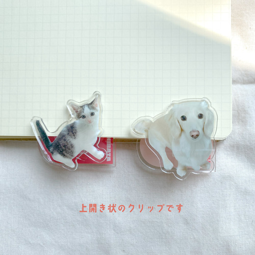 アクリルクリップ 写真入り 名入れ 50mm うちの子 ペット グッズ