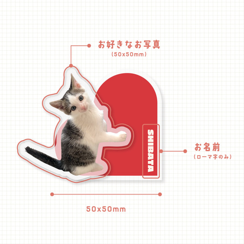 アクリルクリップ 写真入り 名入れ 50mm うちの子 ペット グッズ