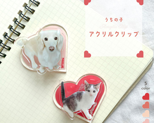 Guri様♥️オーダーページ　ハンドメイド品 アクリルクリップ 写真入り 名入れ 50mm うちの子 ペット グッズ