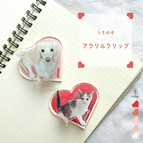アクリルクリップ 写真入り 名入れ 50mm うちの子 ペット グッズ