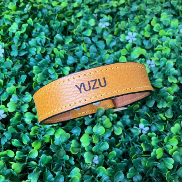 《名前入れ可能！》選べるサイズの本革犬・猫用首輪　(25㎜幅)　小型/中型/大型　【ドラーロ】 14枚目の画像