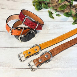 《名前入れ可能！》選べるサイズの本革犬・猫用首輪　(25㎜幅)　小型/中型/大型　【ドラーロ】 1枚目の画像